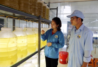 Cận cảnh công nghệ tiên tiến sản xuất tôm giống