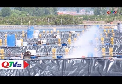 Chủ động chống nắng nóng trong nuôi trồng thủy sản