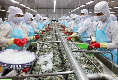 Vượt thách thức, vững tăng trưởng