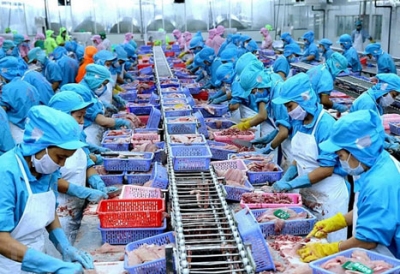 Xuất khẩu thủy sản 6 tháng năm 2019 đạt gần 4 tỷ USD