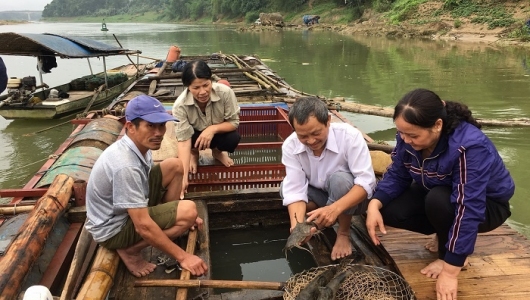Phòng bệnh cho cá nuôi mùa nắng nóng và thời điểm giao mùa