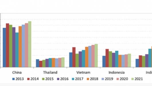 Thủy sản thế giới 2020: Sản lượng tăng, giá giảm