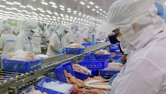 Xuất khẩu thuỷ sản tiếp tục giảm sang thị trường Trung Quốc do Covid-19