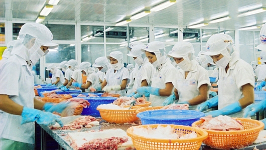 Hậu tết: Kinh tế thủy sản hồi phục tích cực