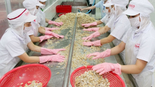 Thúc đẩy công nghiệp hóa, hiện đại hóa nông nghiệp